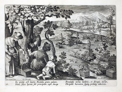 Birdcatchers using Owls and disguise to catch Figpeckers, illustration from 